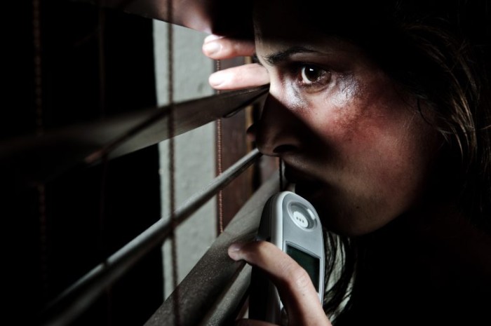 Comissão debate impactos da violência doméstica e familiar no Poder Judiciário