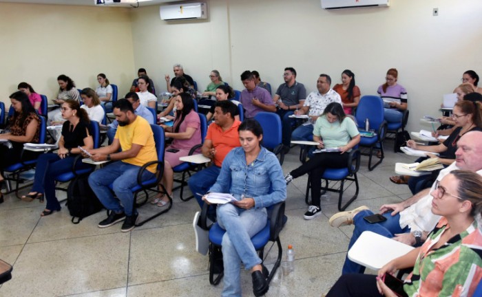 SES-TO capacita técnicos com o programa de treinamento em Epidemiologia Aplicada aos Serviços do Sistema Único de Saúde