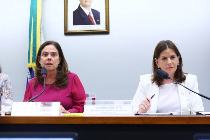 Debatedores dizem que mulheres negras e pobres são maiores vítimas violência obstétrica