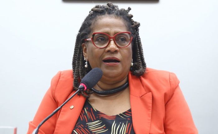 Censo quilombola representa primeiro passo na garantia de direitos, afirmam debatedores