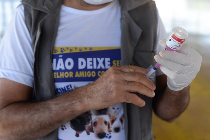 No Dia Mundial Contra a Raiva, Semus destaca importância da vacinação contra doença