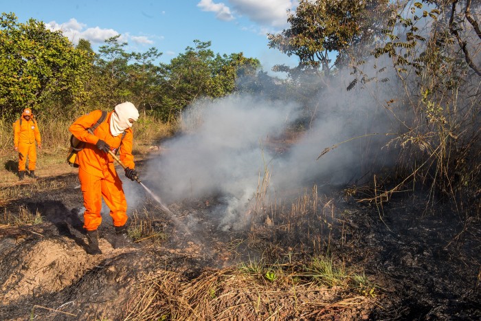 Brigada de Palmas já participou de mais de 136 combates