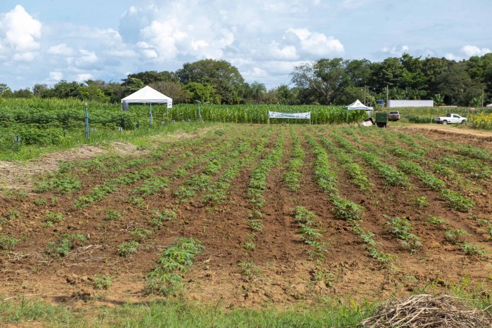 Seder leva capacitação a produtores durante Dia Técnico na Fazendinha do Calor Humano