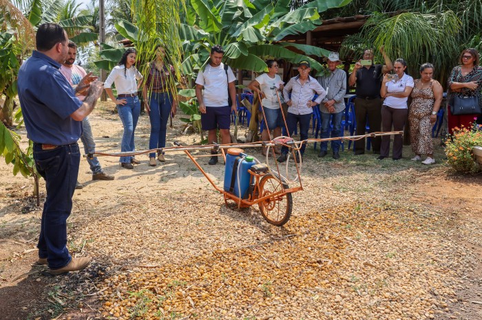 Dia de Técnico realizado pela Seder amplia conhecimento de produtores de mandioca em Palmas