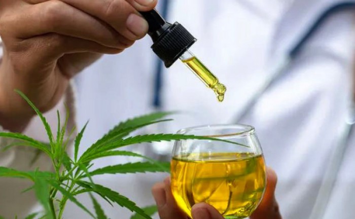 Governo do Tocantins institui grupo de assessoramento técnico para o fornecimento de medicamentos à base de canabidiol