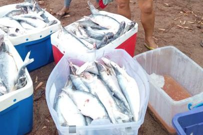 GMP apreende carga com 5,8 mil quilos de pescado na noite de sábado, 7