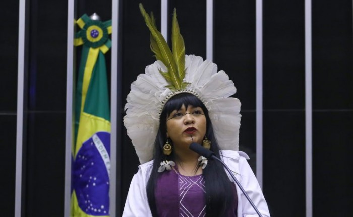 Comissões vão realizar seminário para debater participação brasileira em conferência do clima