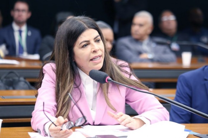 Comissão vai debater implementação do mercado de carbono