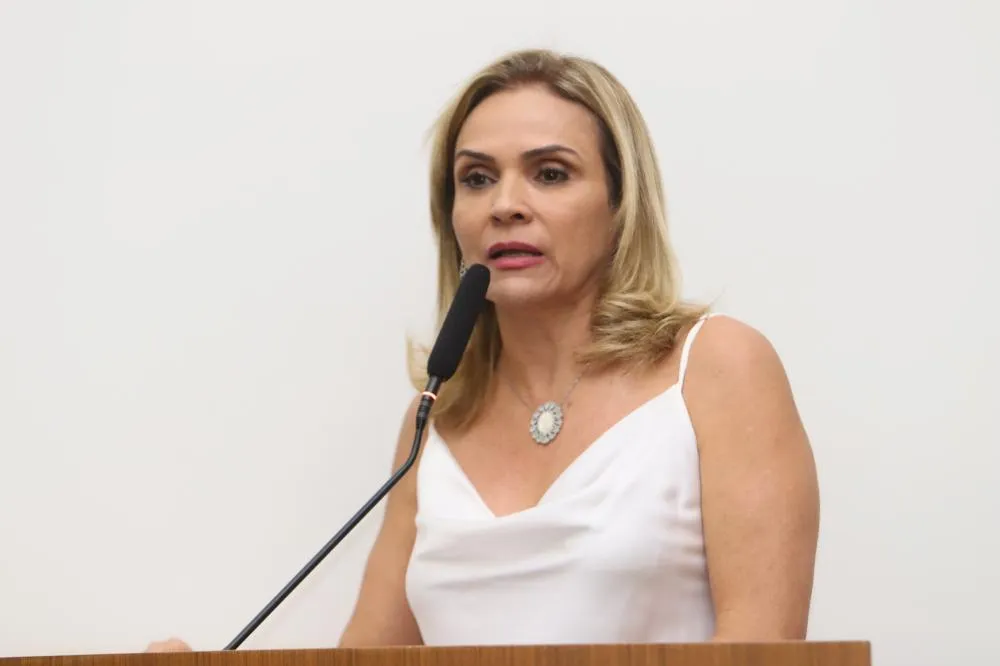 Laudecy mantém postura de questionamento e cobrança em Sessão sobre o SUS em Palmas 