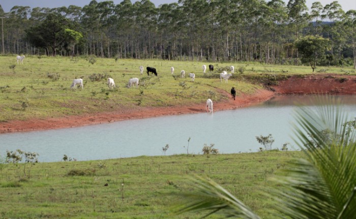 Governo do Tocantins cria comissão para dar agilidade na certificação do Cadastro Ambiental Rural no Estado
