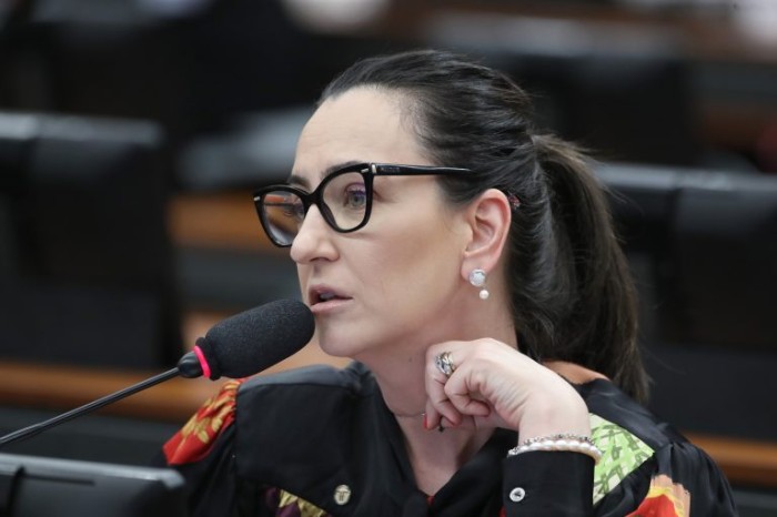 CCJ aprova projeto que cria programa de amparo a idosos e pessoas com deficiência sem autonomia