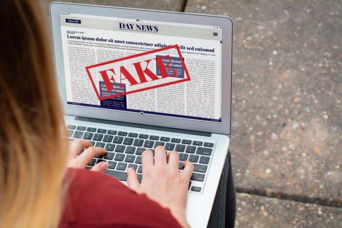 Comissão debate ações de Big Techs contra PL das Fake News