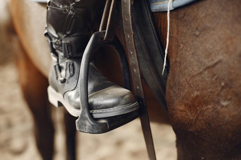 MPTO faz recomendação ao município de Goiatins com orientações para realização de cavalgada no distrito de Alto Lindo