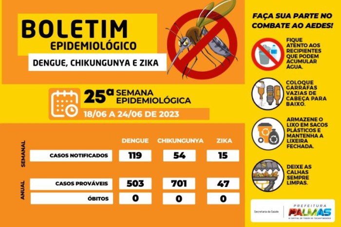Palmas registra 119 notificações para dengue em última semana epidemiológica