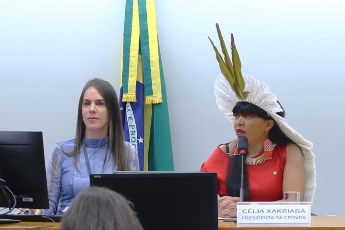 Comissões debatem consulta a povos tradicionais para obras de grande impacto ambiental em Minas Gerais