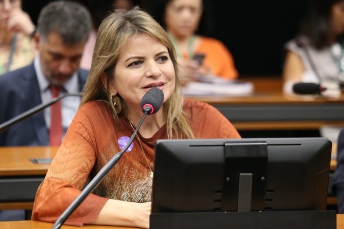 Deputada sugere cadastro integrado obrigatório para todas as obras feitas com recursos federais