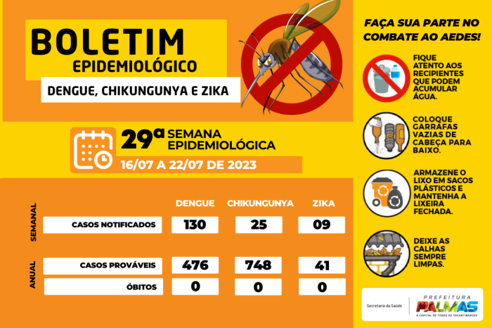 Palmas registra 130 casos suspeitos para dengue nesta terça, 26