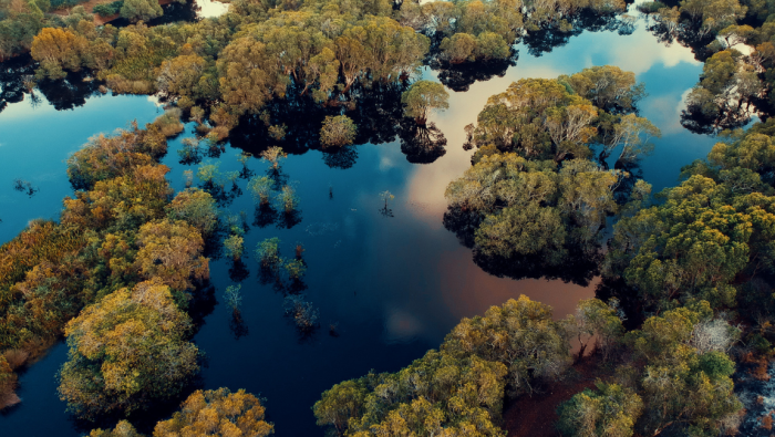 Revista Times destaca Pantanal entre os 50 melhores lugares do mundo em 2023