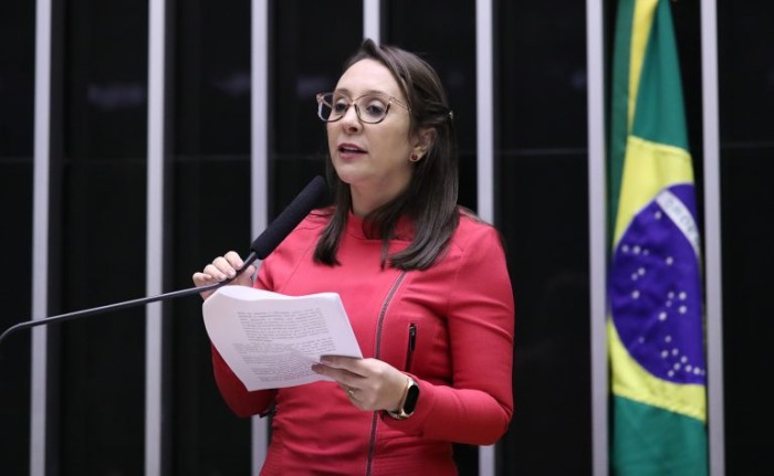 Câmara aprova projeto que cria protocolo para atender vítima de assédio em boate; acompanhe