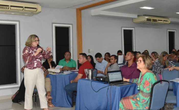 SES-TO realiza 8ª Oficina de Planejamento Regional Integrado