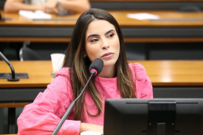 Comissão aprova projeto que prevê ações em prol da representatividade das mulheres na política