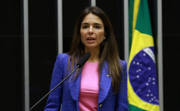 Comissão de Desenvolvimento Econômico debate regulamentação de mercados digitais