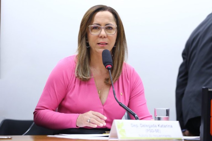 Comissão aprova aumento de prazo para vítima de violência doméstica fazer queixa contra agressor