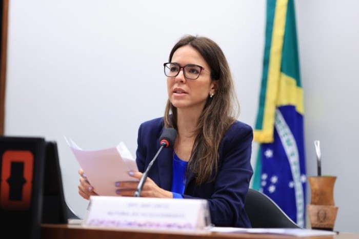 Regulamentação dos mercados digitais no Brasil precisa ser feita com cautela, afirmam especialistas estrangeiros