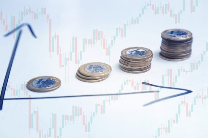 Comissão debate impacto das taxas de juros para micro e pequenas empresas
