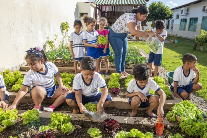 Cultivo de horta no Cmei de Taquaruçu auxilia no ensino sobre alimentação saudável