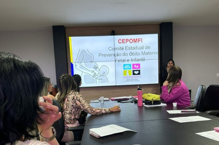 Representantes da Fesp participam de reunião sobre prevenção de óbito materno, fetal e infantil