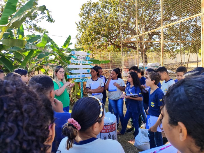 Alunos da escola iniciam cultivo de novas hortas no espaço externo da unidade
