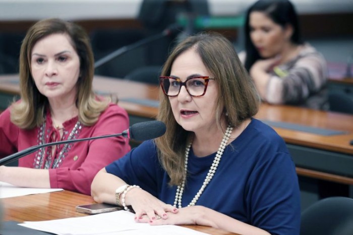 Comissão aprova proposta que cria programa de incentivo para retorno das mães ao mercado de trabalho