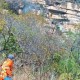 Brigadistas do Naturatins realizam combate a incêndio na APA Serra do Lajeado