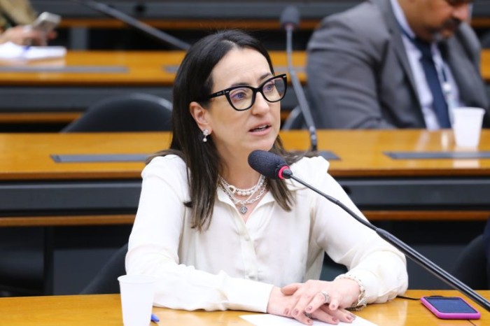 Comissão de Defesa dos Direitos das Pessoas com Deficiência ouve ministro Silvio Almeida