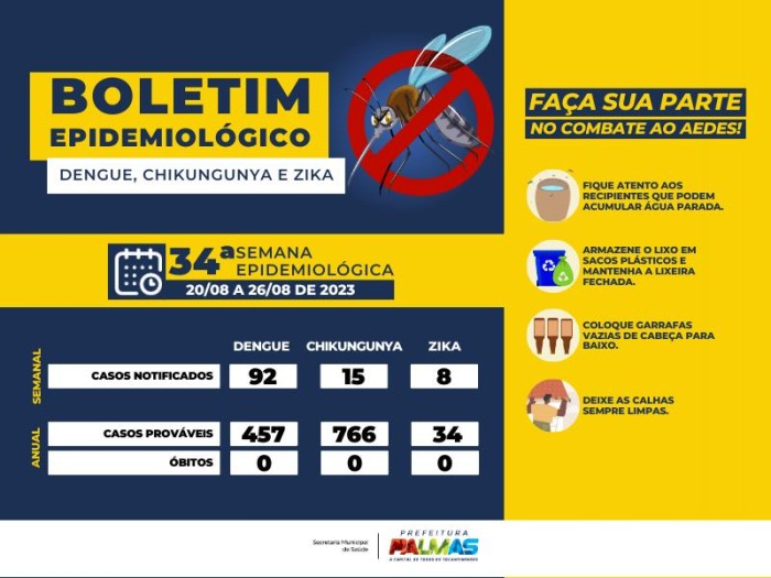 Palmas tem 92 casos suspeitos de dengue nesta semana