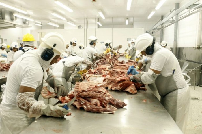 Destino de resíduos da produção de proteína animal é tema de debate na Câmara na segunda